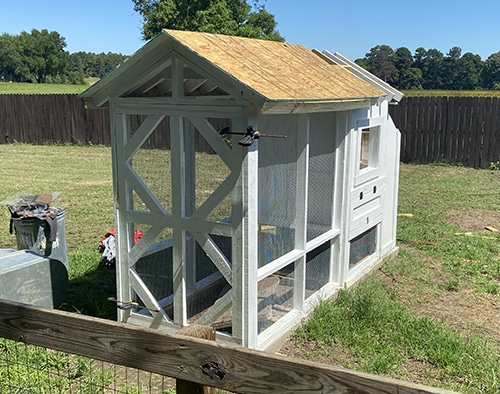 quarantine project: chicken coop in progress