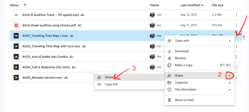 Sharing a File or Folder in Google Drive