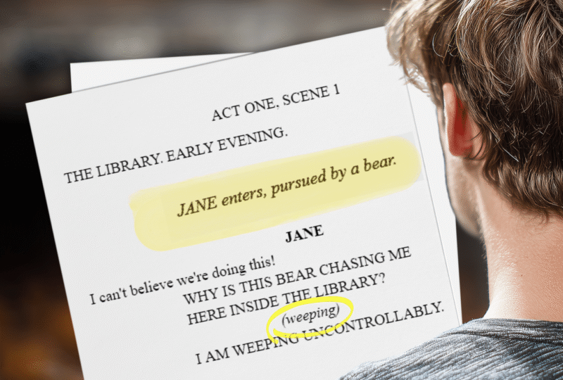 image showing a script with stage directions in italics